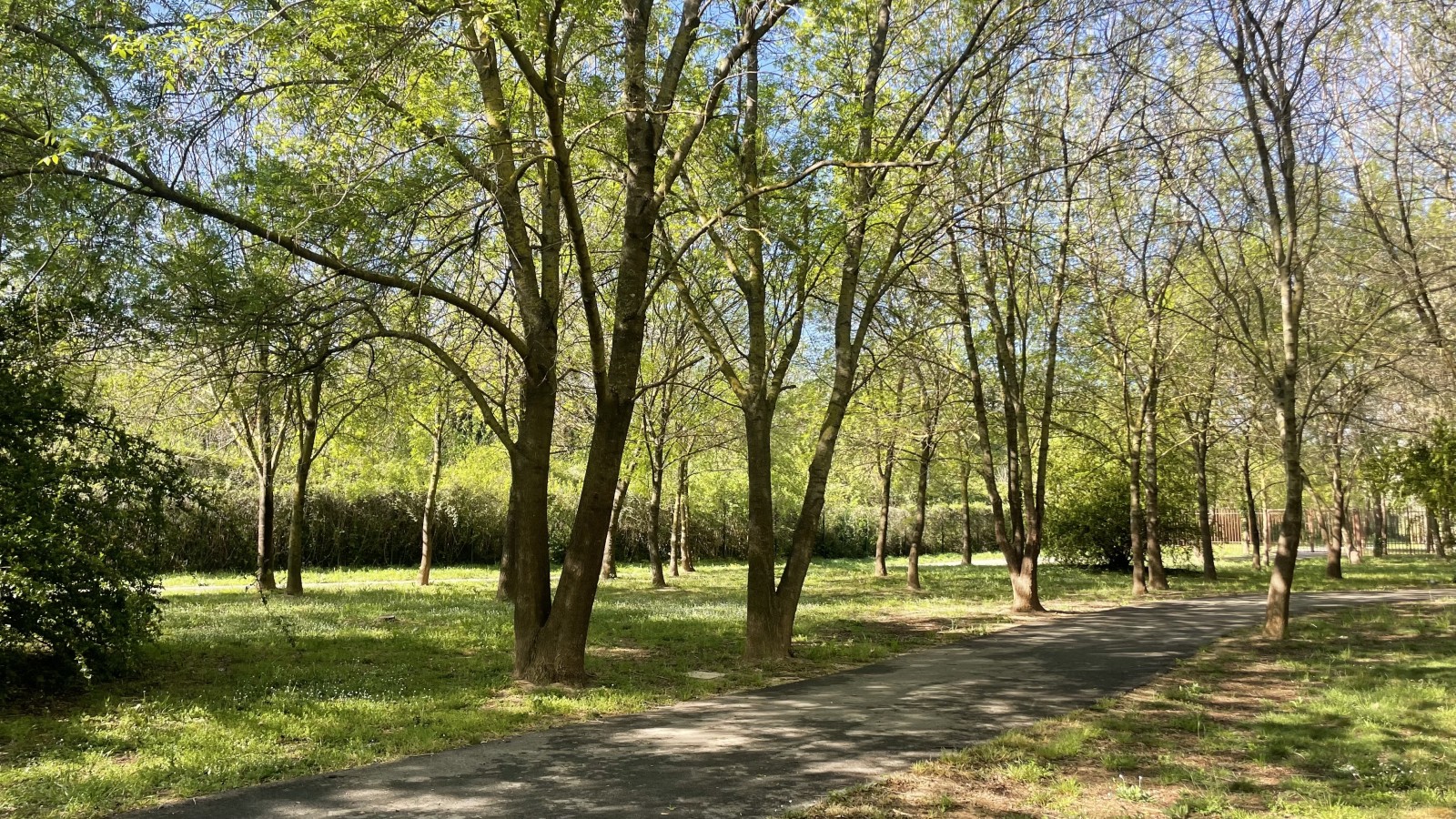 lasertag a faire dans le var animation pour stage evenements