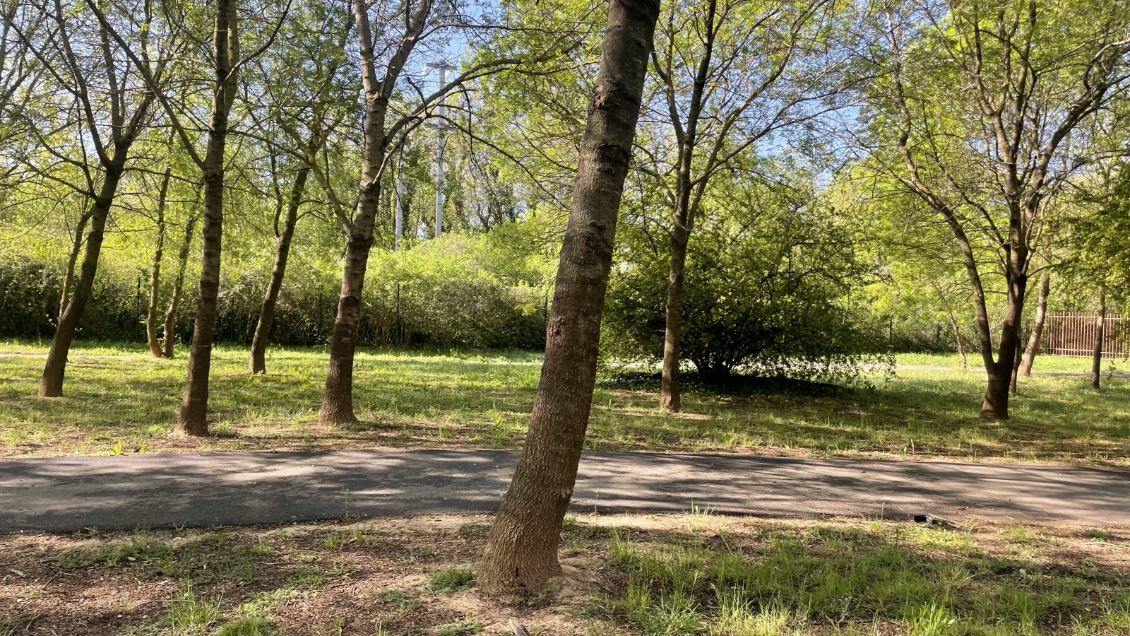 organiser un laser game vers frejus au muy en exterieur