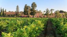 domaine vicitole bio chateau saint roux au cannet des maures